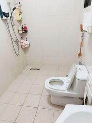 Charlton Park (D19), Terrace #578503261